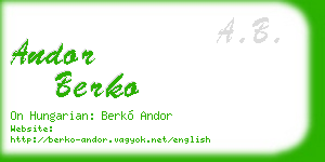 andor berko business card